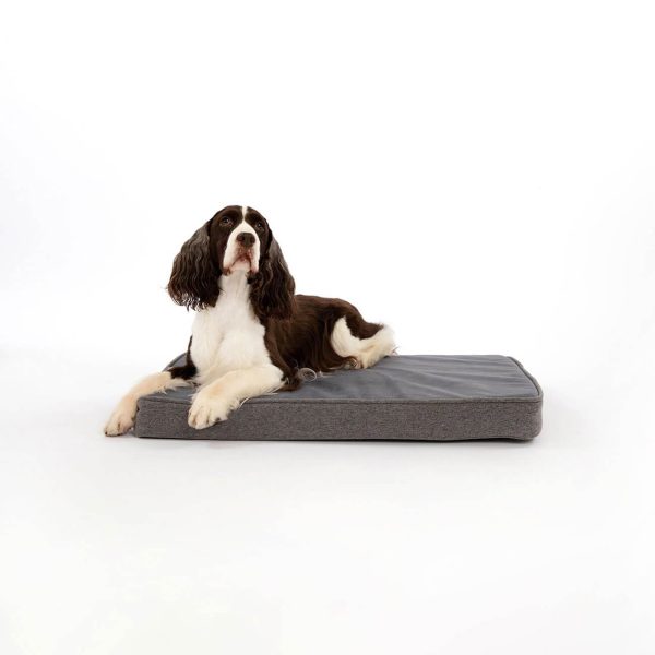 Snooz Revol Pad - Image 8