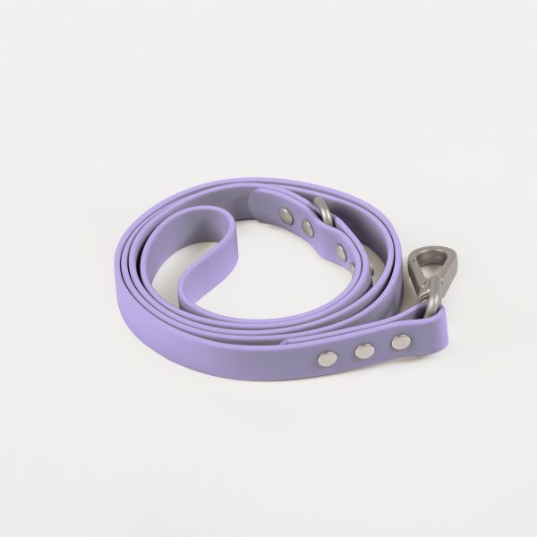 Leash - Image 8