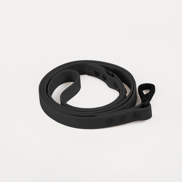 Leash - Image 7