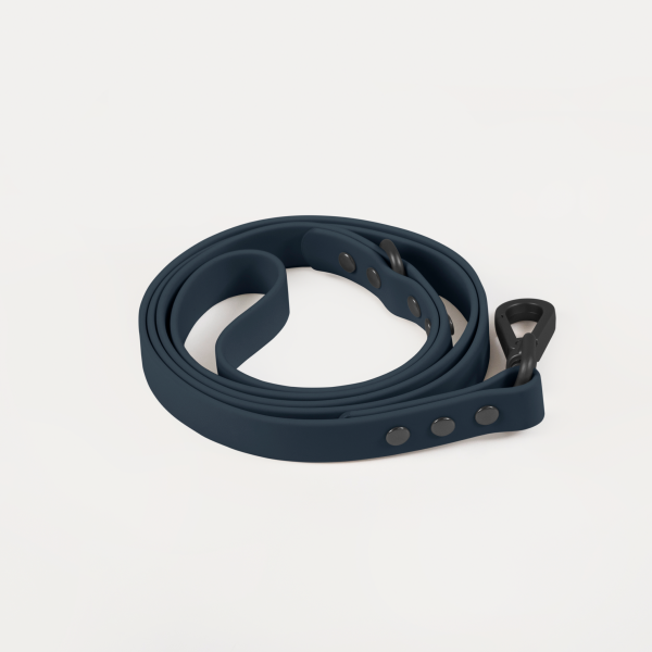 Leash - Image 6