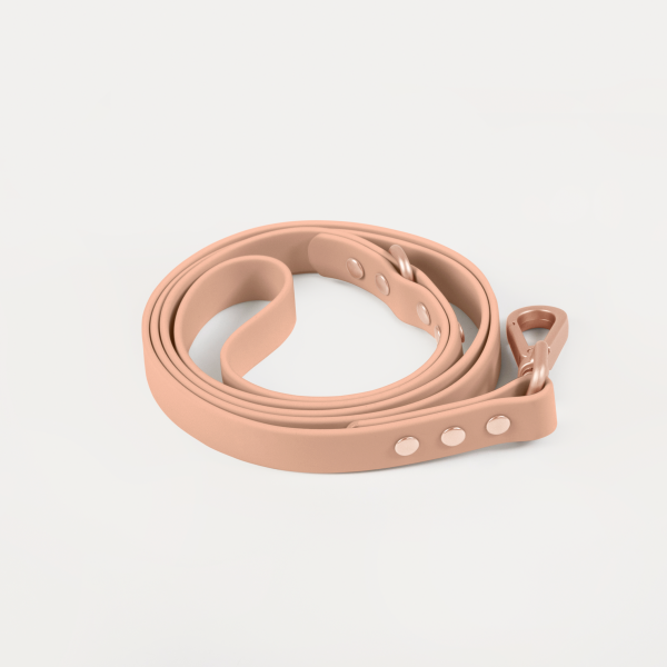 Leash - Image 5