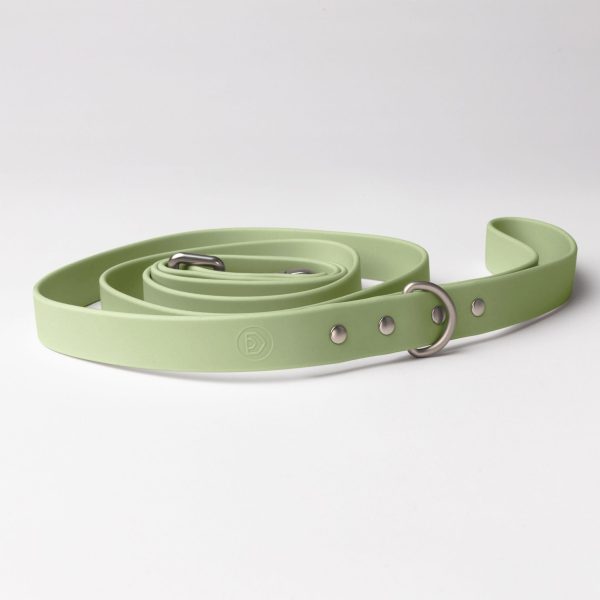 Leash - Image 12