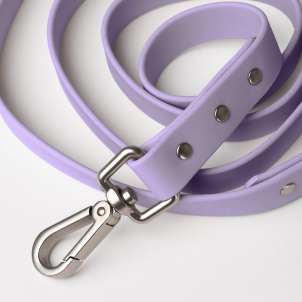 Leash - Image 9