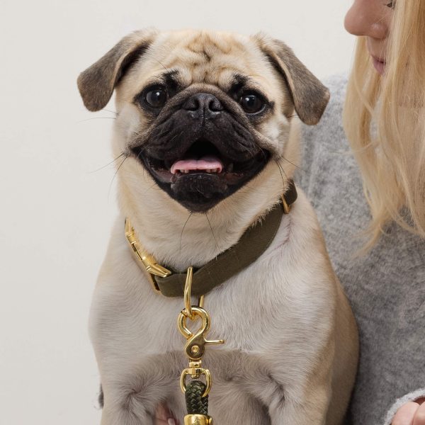 Olive Dog Collar - Image 7