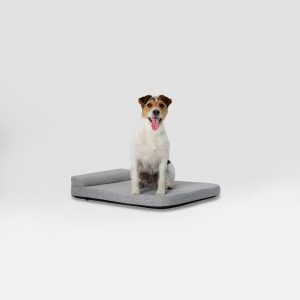 Bolstr Evolv Bed - Image 2