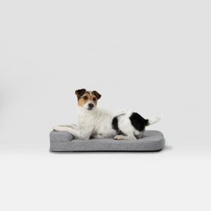 Bolstr Evolv Bed - Image 3