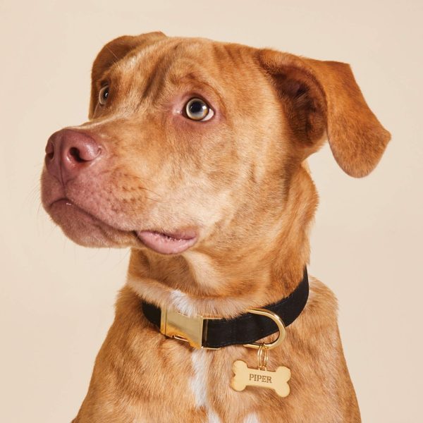 Onyx Dog Collar - Image 4