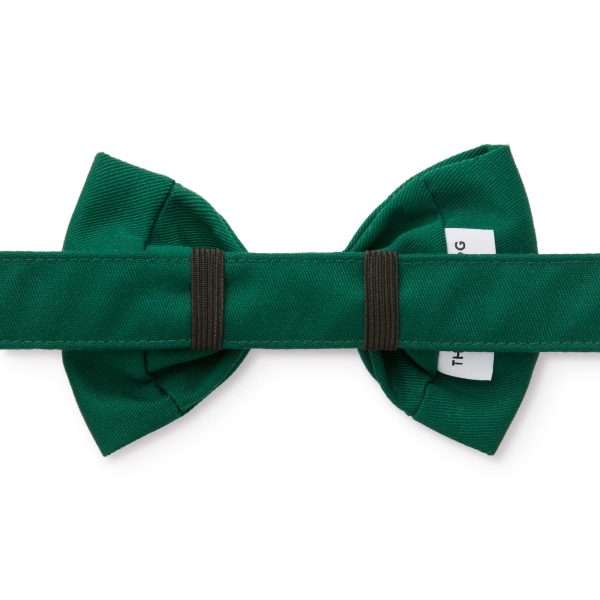 Evergreen Bow Tie Collar - Image 2