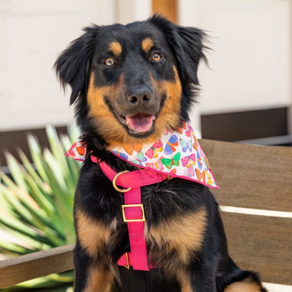 Hot Pink Dog Harness - Image 10