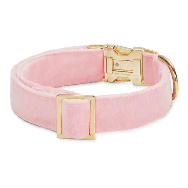 Blush Pink Velvet Dog Collar - Image 2