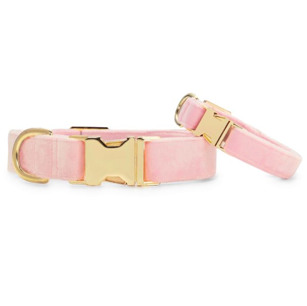 Blush Pink Velvet Dog Collar - Image 3