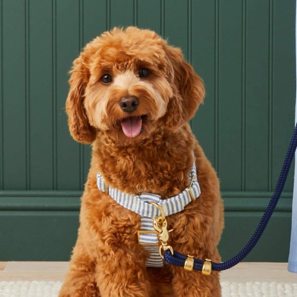 Lake Blue Stripe Dog Harness - Image 4