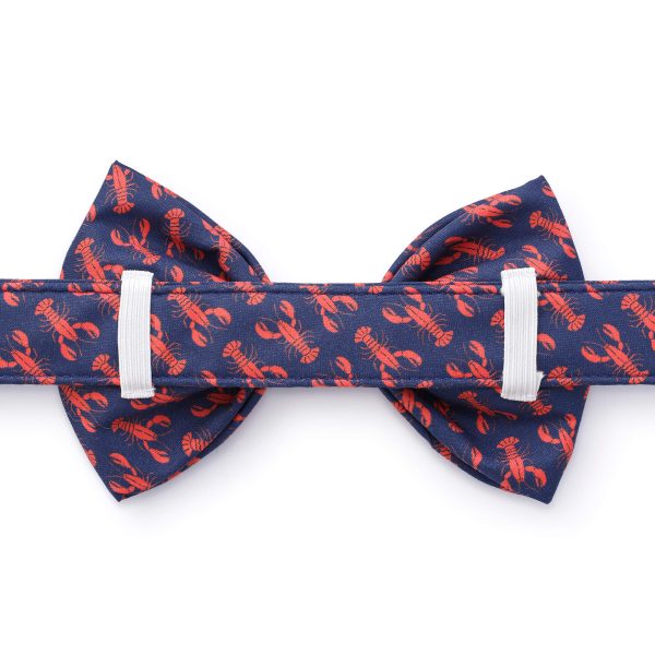 Catch of the Day Bow Tie Collar - Image 2