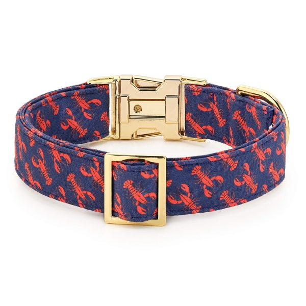 Catch of the Day Dog Collar - Image 2