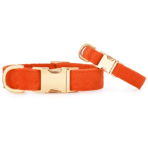 Cider Dog Collar - Image 3