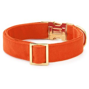 Cider Dog Collar - Image 2