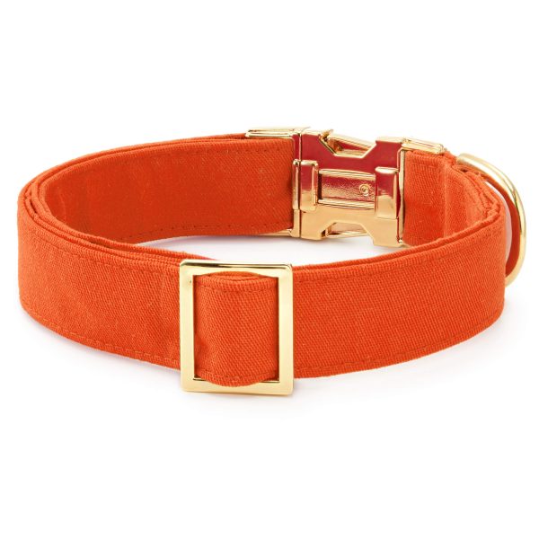Cider Dog Collar - Image 2