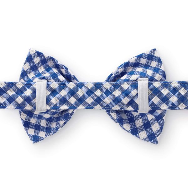 Lake Blue Gingham Bow Tie Collar - Image 3