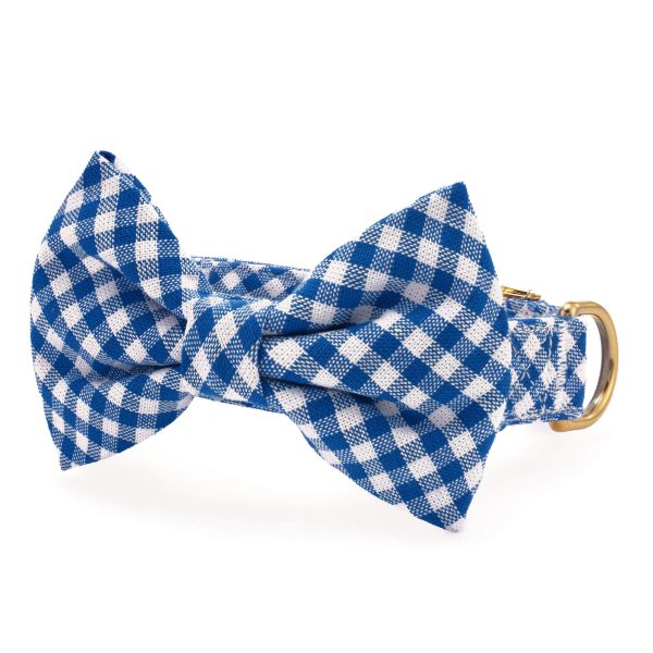 Lake Blue Gingham Bow Tie Collar