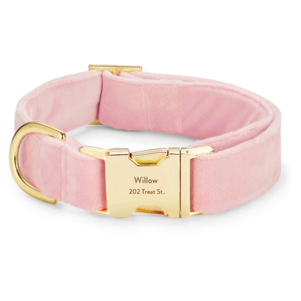 Blush Pink Velvet Dog Collar - Image 14