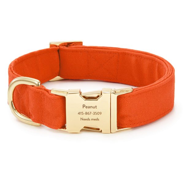 Cider Dog Collar - Image 7