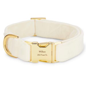 Ivory Velvet Dog Collar - Image 9