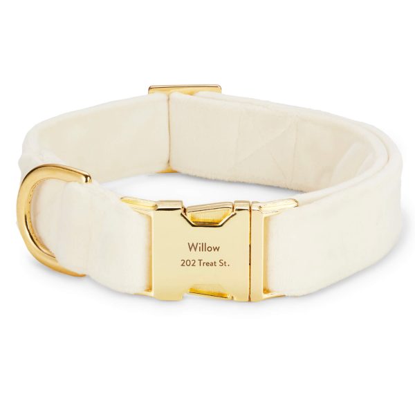 Ivory Velvet Dog Collar - Image 9