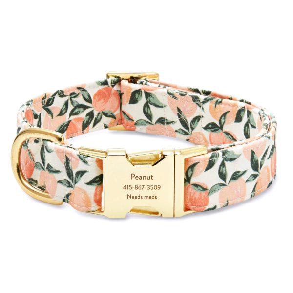 Peaches and Cream Dog Collar - Image 6