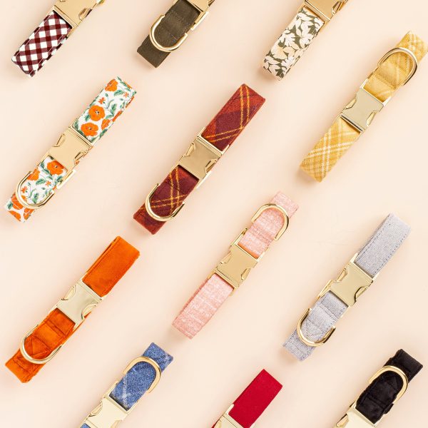 Olive Dog Collar - Image 10
