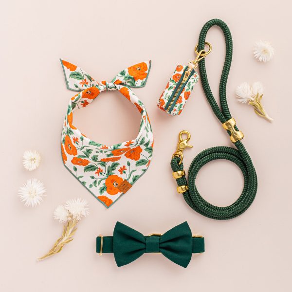 Evergreen Bow Tie Collar - Image 6