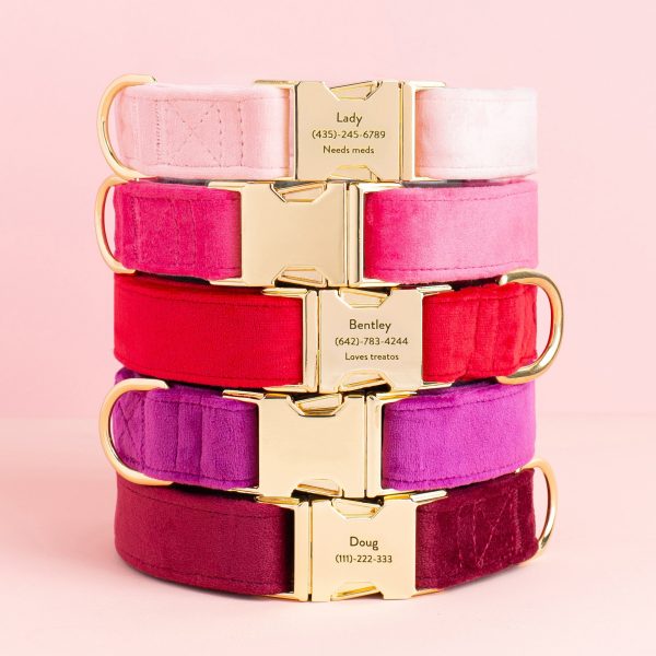 Blush Pink Velvet Dog Collar - Image 8
