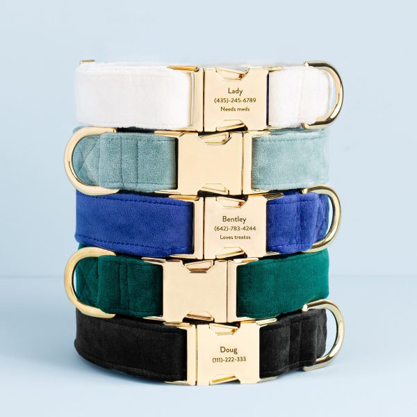 Ivory Velvet Dog Collar - Image 7