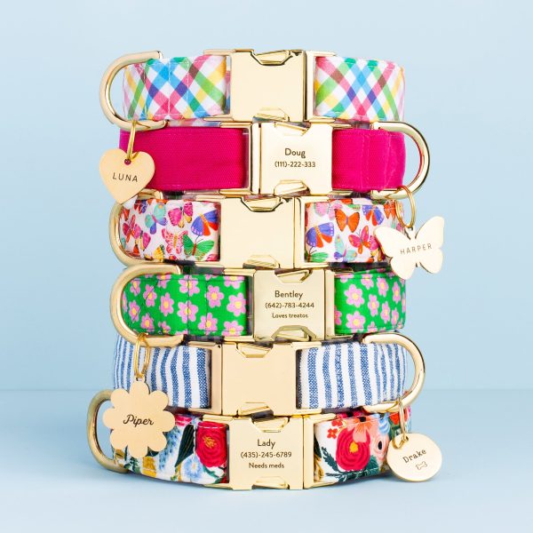 Hot Pink Dog Collar - Image 11