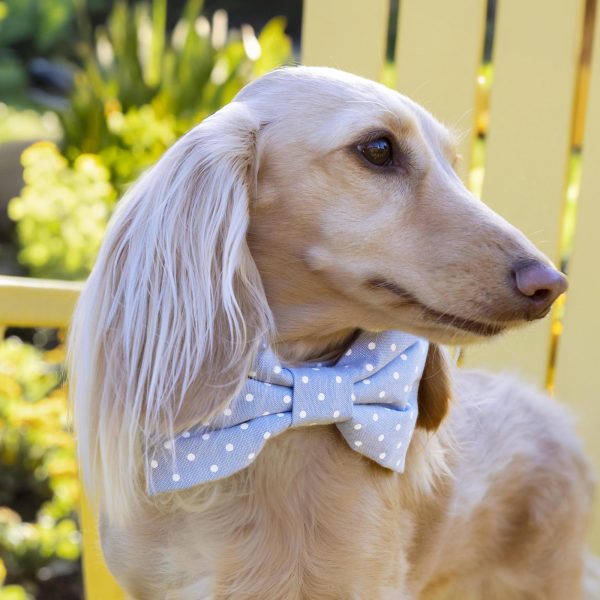 Chambray Dots Bow Tie Collar - Image 5
