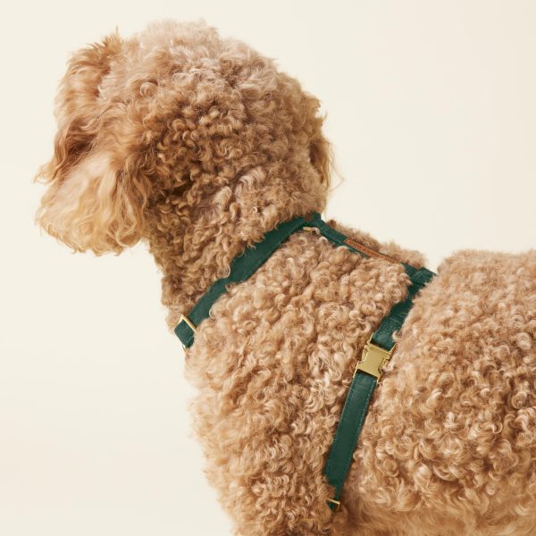 Evergreen Dog Harness - Image 6