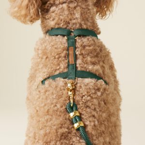 Evergreen Dog Harness - Image 9