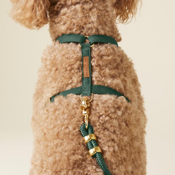 Evergreen Dog Harness - Image 9