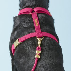 Hot Pink Dog Harness - Image 6