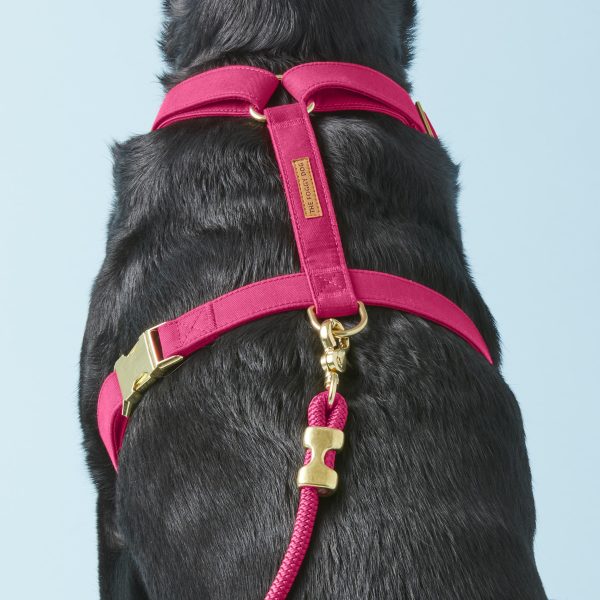 Hot Pink Dog Harness - Image 6