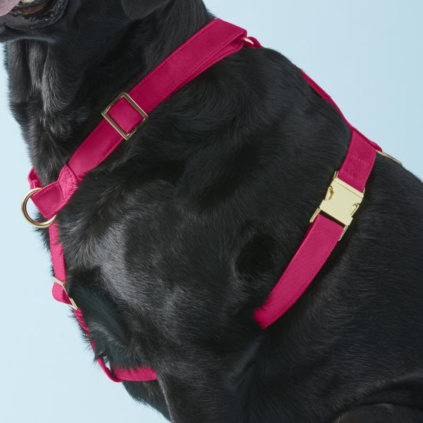 Hot Pink Dog Harness - Image 11