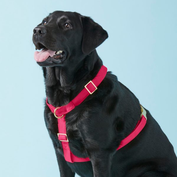 Hot Pink Dog Harness - Image 4