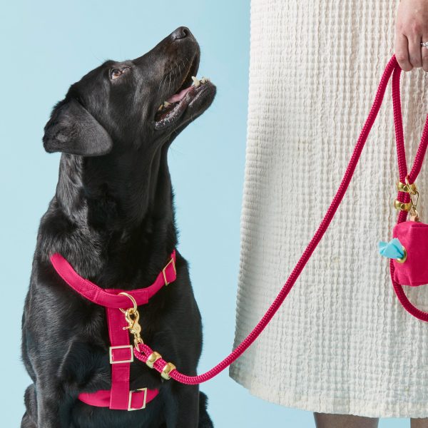 Hot Pink Dog Harness - Image 7