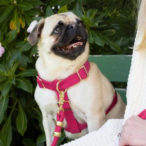 Hot Pink Dog Harness - Image 8