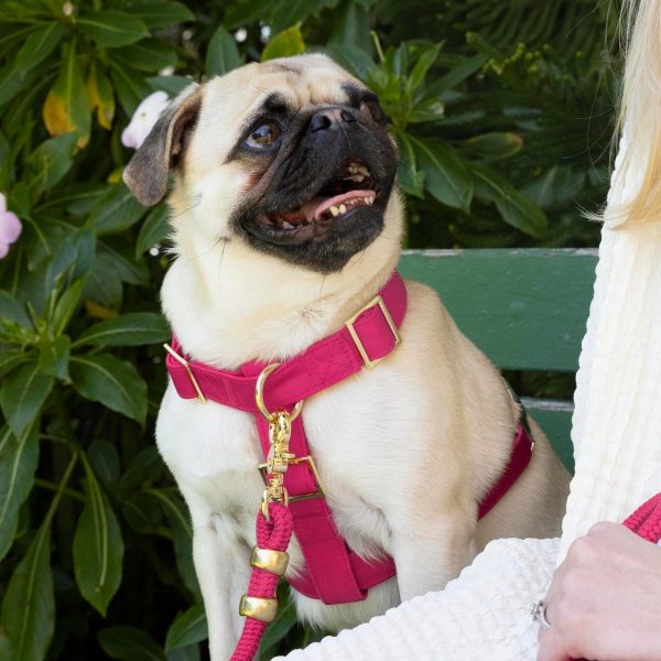 Hot Pink Dog Harness - Image 8