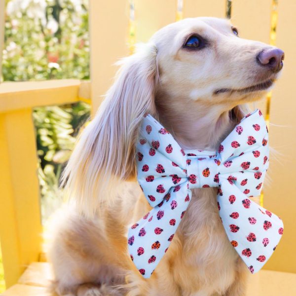 Love Bug Lady Bow Collar - Image 6