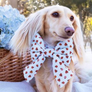 Love Bug Lady Bow Collar - Image 5
