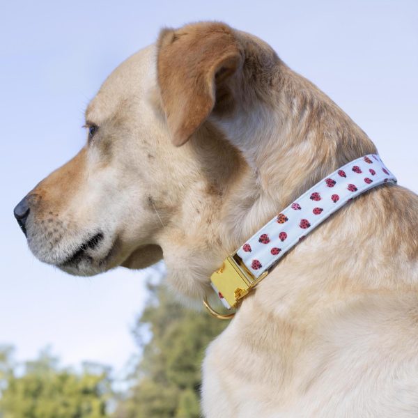 Love Bug Dog Collar - Image 5