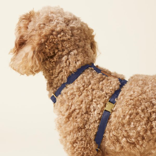 Ocean Dog Harness - Image 11