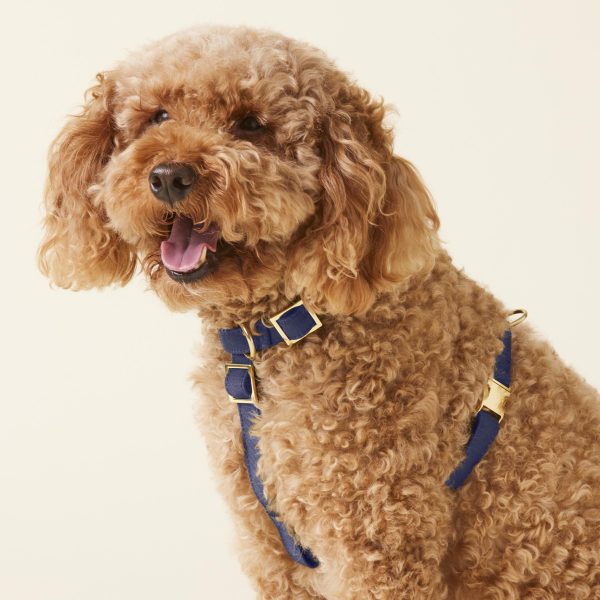 Ocean Dog Harness - Image 5