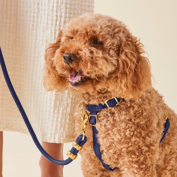 Ocean Dog Harness - Image 8